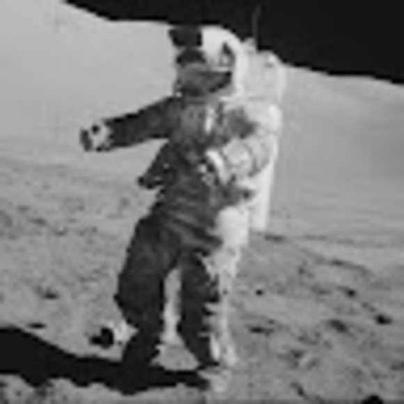 Profile Picture of David Rockoff (@drockoff) on Poshmark