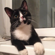 Profile Picture of Viktoria Gusarova (@gusarovika) on Youtube