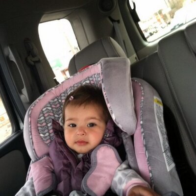 Profile Picture of Steven Oppedisano (@stugats718) on Twitter