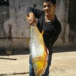 Profile Picture of Dario Bellier (@dariobellier) on Instagram