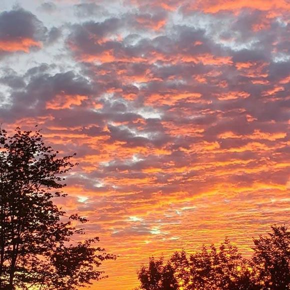 Profile Picture of Robin Foster (@phoebe196) on Poshmark