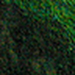 Profile Picture of Anver 1994 (@anver1994) on Flickr