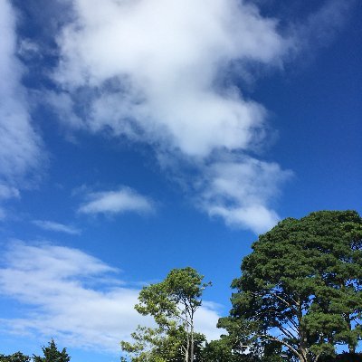 Profile Picture of Peter Ayala (@PeterEApp) on Twitter