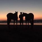 Profile Picture of Scott Borland (@scott.borland.realestate) on Instagram