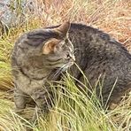 Profile Picture of Cindy Riddle Blachly (@cindy.r.blachly) on Facebook