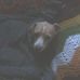Profile Picture of Pat Neuman (@pat.neuman.313) on Facebook