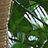 Profile Picture of Assaf Steinfeld (@Asi) on Flickr