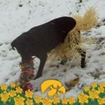 Profile Picture of Lori Kemp (@kemp7822) on Instagram