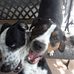 Profile Picture of Eileen Phillips (@eileen.phillips.3304) on Facebook