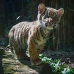 Profile Picture of Max Weissman (@max.weissman.5) on Instagram