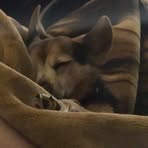 Profile Picture of Jeffrey Plumb III (@Jeffrey-Plumb-III) on Facebook