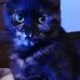 Profile Picture of Candy Hanson (@candy.hanson.946) on Facebook