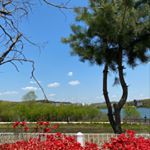 Profile Picture of Eileen Kim (@eileen_yunkyoung) on Instagram