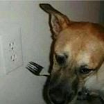 Profile Picture of Chaney (@pissfartbeerdart) on Instagram