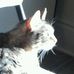 Profile Picture of Dawn Moody (@dawn.moody.3538) on Facebook