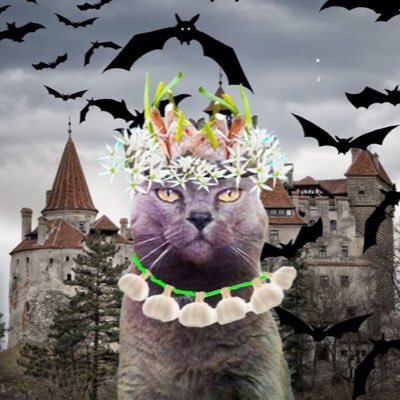 Profile Picture of Ugo Prays 4 Pals (@Brici161) on Twitter