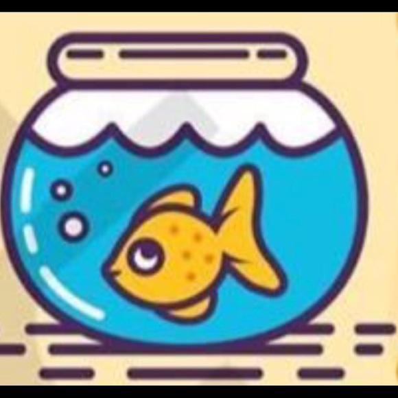 Profile Picture of Howard Amini (@hoam123) on Poshmark