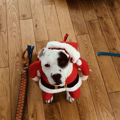 Profile Picture of Byron Hay (@byronhhay) on Twitter