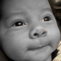 Profile Picture of Kathy Forte (@kathyforte) on Tiktok