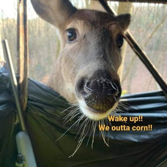 Profile Picture of Mike Marsh (@kanuck991) on Poshmark