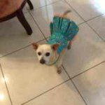 Profile Picture of Lilliam Ayala (@lilliam_ayalal2) on Instagram