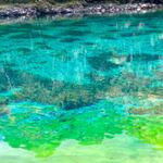 Profile Picture of Aaron Dodds (@aaron.dodds.98765) on Instagram