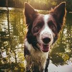 Profile Picture of Calvert Barrett (@calvertbarrettsv) on Instagram