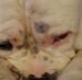 Profile Picture of Derek Saville (@derek.saville.1) on Facebook