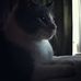 Profile Picture of Amber Weiger (@amber.weiger.7) on Facebook