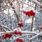 Profile Picture of William Jochems (@rshoamohqf) on Instagram