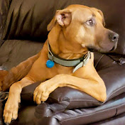 Profile Picture of Jeff Cornelison (@Lowdogsauceco) on Youtube