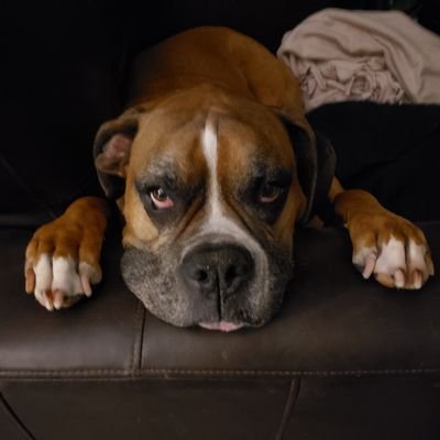 Profile Picture of Steven McHenry (@StevenMcHenry1) on Twitter