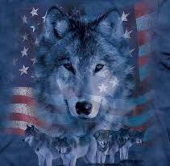 Profile Picture of Heather Wipff (@hdcmouse) on Poshmark