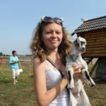 Profile Picture of josie rocha (@josie4085nn) on Instagram