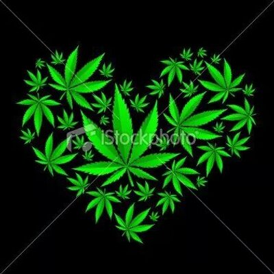 Profile Picture of Jose Enrique Chimal (@josechimal54) on Twitter