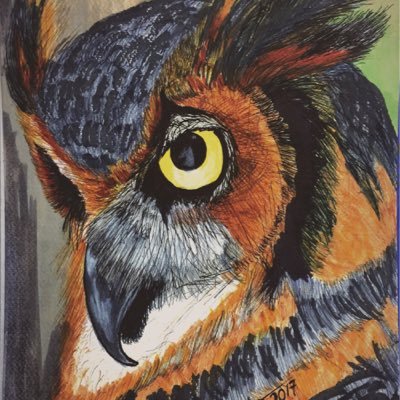 Profile Picture of Victor Hugo Cueto (@VictorCuetoMD) on Twitter