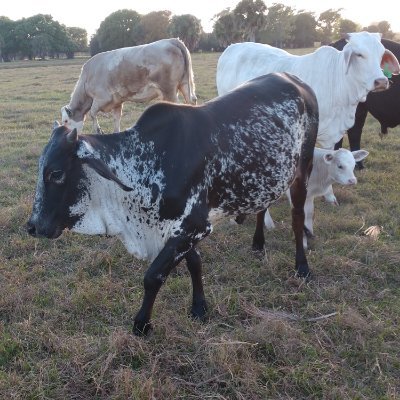 Profile Picture of KENNETH SLISHMAN (@KennethSlishman) on Twitter