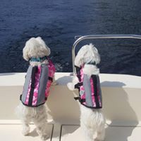 Profile Picture of Danny Brandon (@danny-brandon-12) on Quora