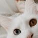 Profile Picture of Caroline Quick (@sea_queue) on Pinterest