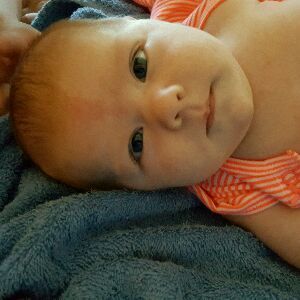 Profile Picture of Brian Noland (@briannoland) on Tiktok