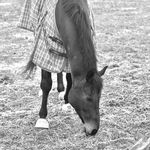 Profile Picture of Katie Egbert-Piscitelli (@kegbert86) on Instagram