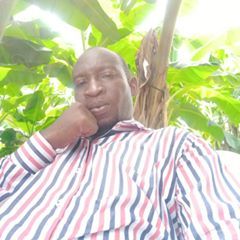 Profile Picture of Stephen Ossai (@stephenossai) on Tiktok