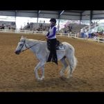 Profile Picture of Danielle Eisemann (@danielleeisemann) on Instagram