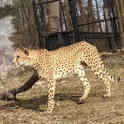 Profile Picture of Jackson Burt (@JacksonBurt1) on Twitter