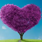 Profile Picture of Dexter Royce (@dexter_royce_) on Instagram