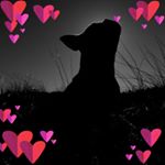 Profile Picture of Laurie Warner Dugan (@lwdugan) on Instagram