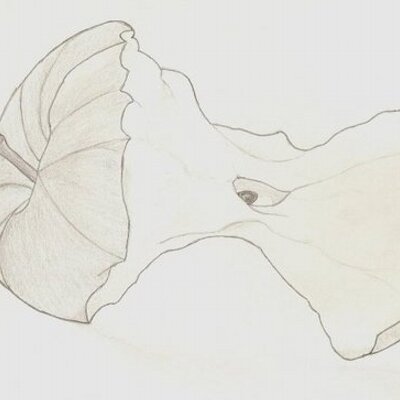 Profile Picture of Dawn Doe (@DawnSmithDoe) on Twitter