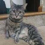 Profile Picture of Andrew Mariner (@amariner992) on Instagram