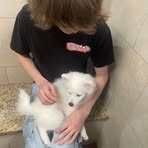 Profile Picture of Aiden Benoit (@Aiden-Benoit) on Facebook