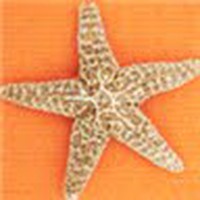 Profile Picture of Jacklin Kotikian (@jacklin-kotikian-1) on Quora